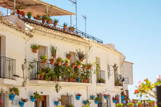 Optimalizovaný a poutavý titulek pro článek:

"Perfektní Rostliny pro Venkovské Balkony a Terasy: Celoroční Průvodce